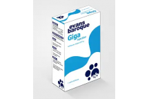 Evans Baroque Giga Ceftriaxone Sodium Inj.1g IM/IV, (x1 vial)